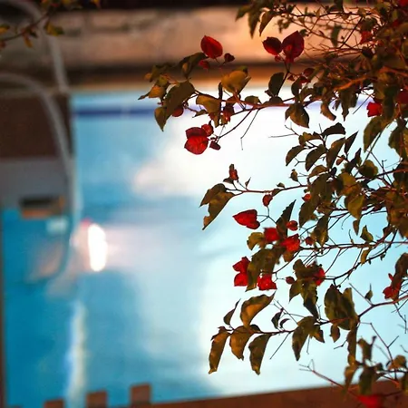 Blue Note House 펜션