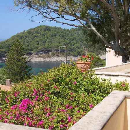 Case de vacanță Blue Note House Asos